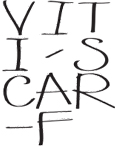 viti-scarf2