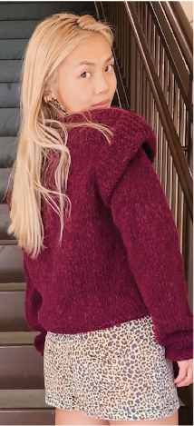 Hab sweater 1
