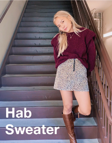 Hab sweater 2